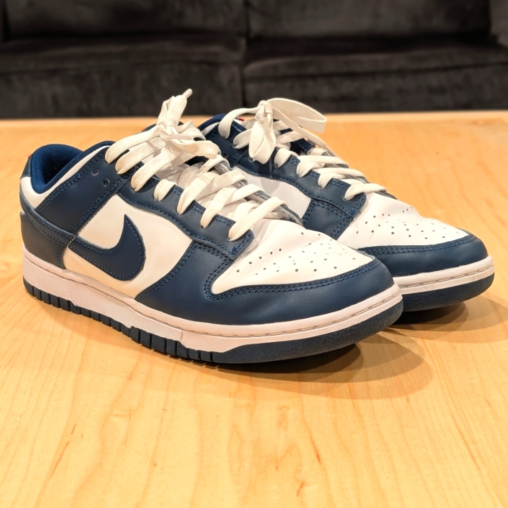 Nike Dunk Low Valerian Blue Size 9